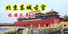 欧美成人考逼视频中国北京-东城古宫旅游风景区